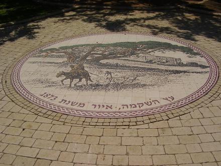 Image of Umm Khalid Image of Umm Khalid