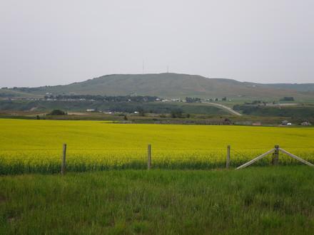 Image of Longview, Alberta Image of Longview, Alberta