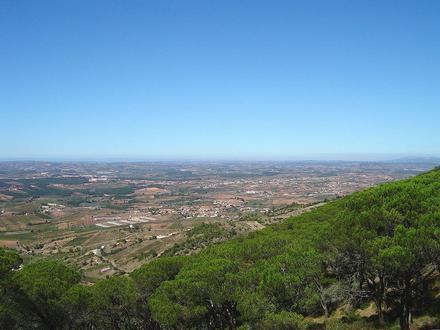 Imagen de Bombarral