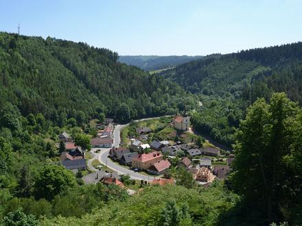 Bild von Svojanov