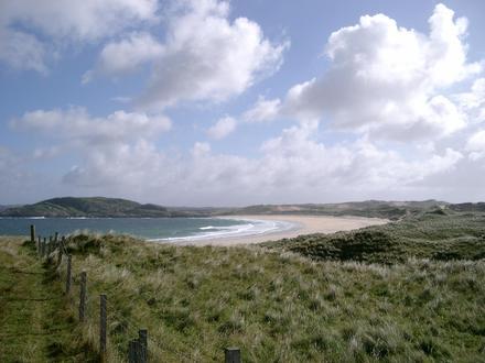 Image of Coll Image of Coll