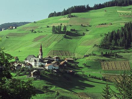 Image of Mareo Image of Mareo
