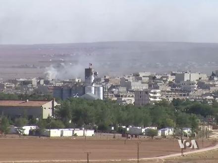 Kobani Resmi Kobani Resmi