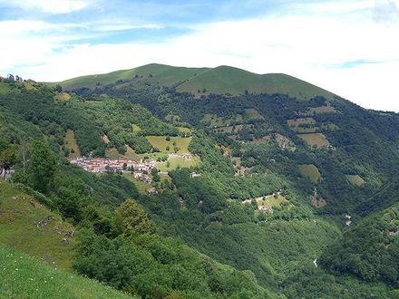 Afbeelding van Muggio Afbeelding van Muggio