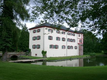 Immagine Angelbachtal