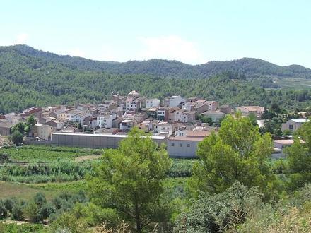 Bild von Capçanes
