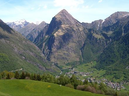 Image of Olivone