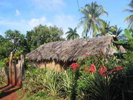Immagine Baracoa Immagine Baracoa