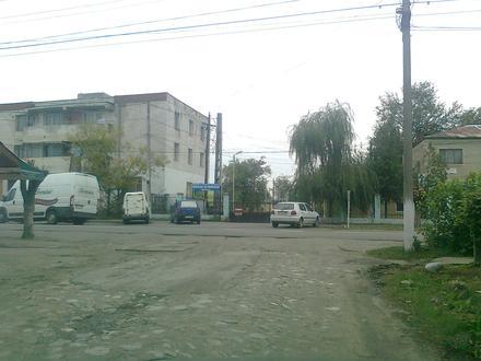 Immagine Poroschia