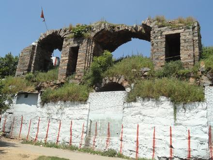 Image of L. B. Nagar