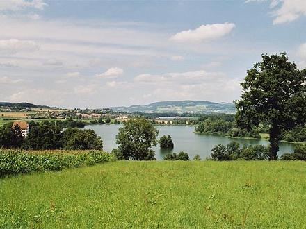 Bild von Mauensee (Gewässer) Bild von Mauensee (Gewässer)