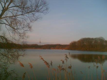 Bild von Schulensee Bild von Schulensee
