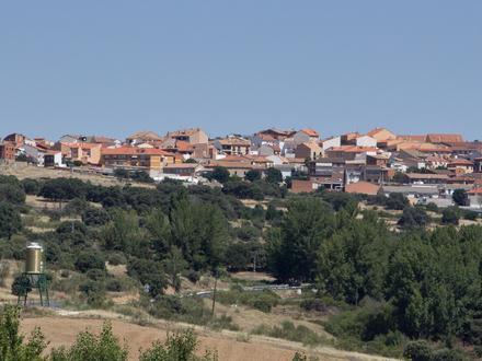 Immagine El Vellón Immagine El Vellón