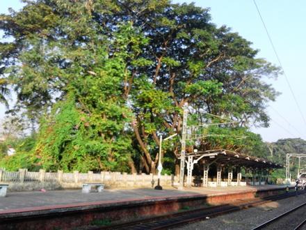 Image of Parappanangadi Image of Parappanangadi