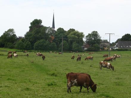 Afbeelding van Delve