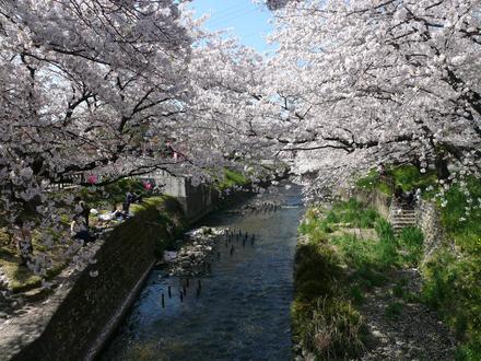 Immagine Iwakura