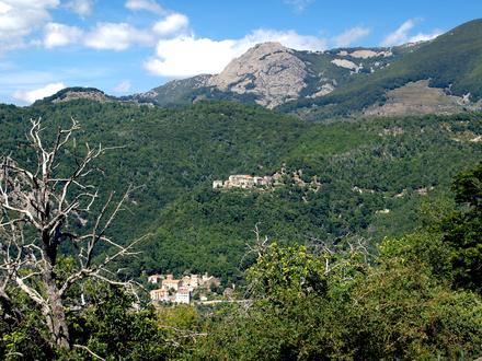 Bild von Mazzola Bild von Mazzola