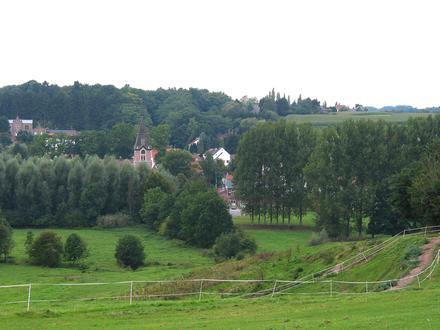 Bild von Lasne