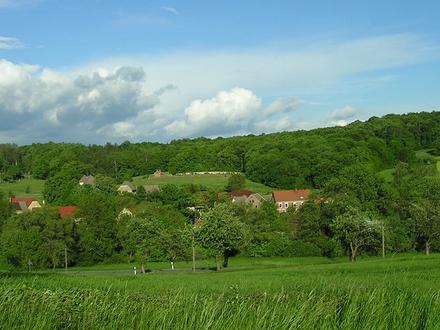 Bild von Zschorgula