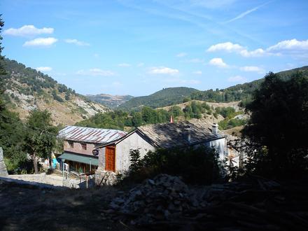 Immagine Dardhë Immagine Dardhë