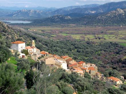 Bild von Avapessa Bild von Avapessa