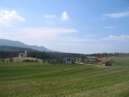 Slika Zelše Slika Zelše