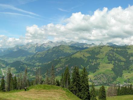 Bild von Saanen