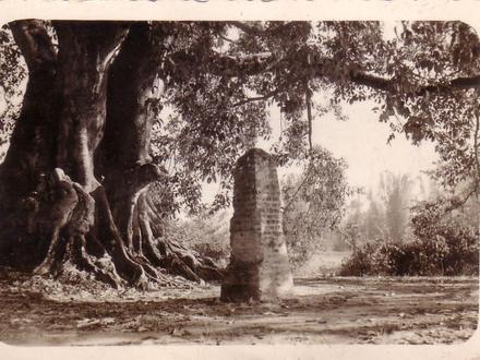 Image of Lweje Image of Lweje