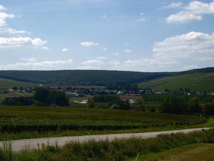 Immagine Chablis Immagine Chablis