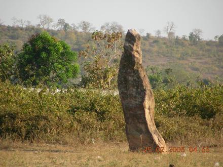 Image of Nagbhid
