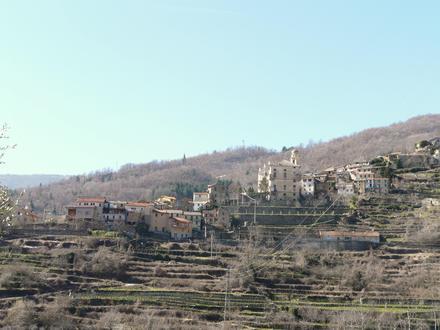 Image of Rezzo Image of Rezzo