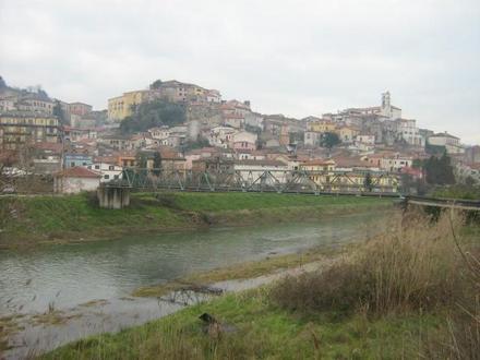 Immagine Polla