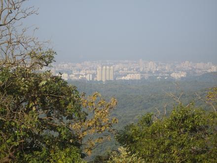 Bild von Borivali