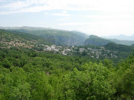 Image de Monodendri Image de Monodendri