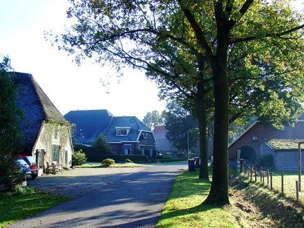 Afbeelding van Mantinge Afbeelding van Mantinge