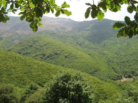 Imagen de Ahar Imagen de Ahar