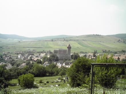 Immagine Băgaciu Immagine Băgaciu