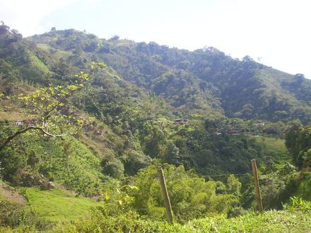 Image de Aranzazu
