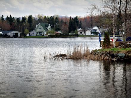 Image de Roxton Pond