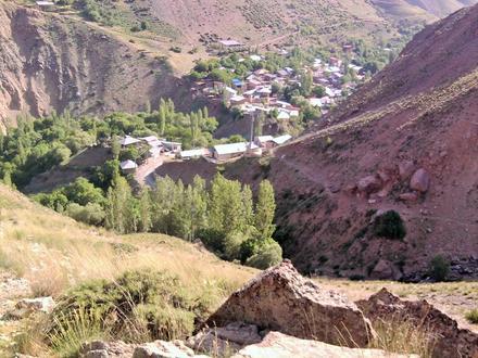 تصویر مورود