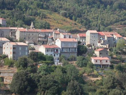 Bild von Sollacaro Bild von Sollacaro