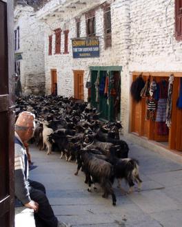 Image de Marpha