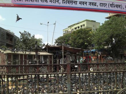 Image of Dadar Image of Dadar