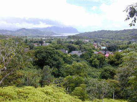 Imagen de Ahuimanu
