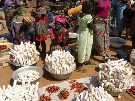 Bild von Niamtougou Bild von Niamtougou