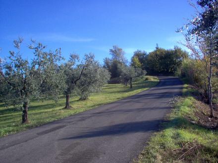 Immagine Salisano Immagine Salisano