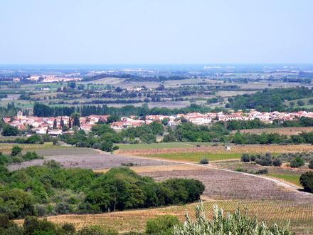Immagine Llupia Immagine Llupia