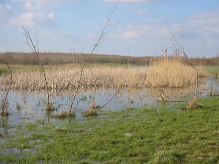 Afbeelding van Zeewolde Afbeelding van Zeewolde