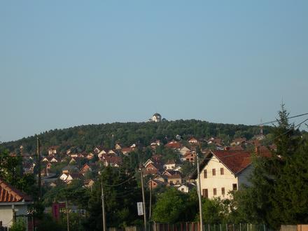 Afbeelding van Topola Afbeelding van Topola