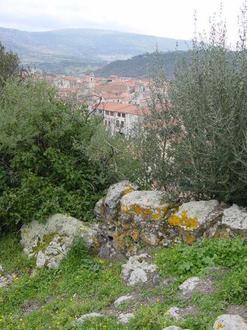 Immagine Siligo